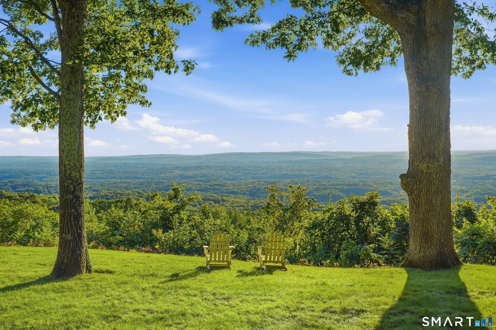 Property Photo:  55 Montevideo Road  CT 06001 