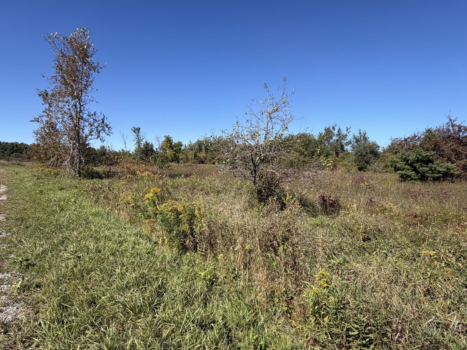 Property Photo:  N Straits Highway  MI 49721 