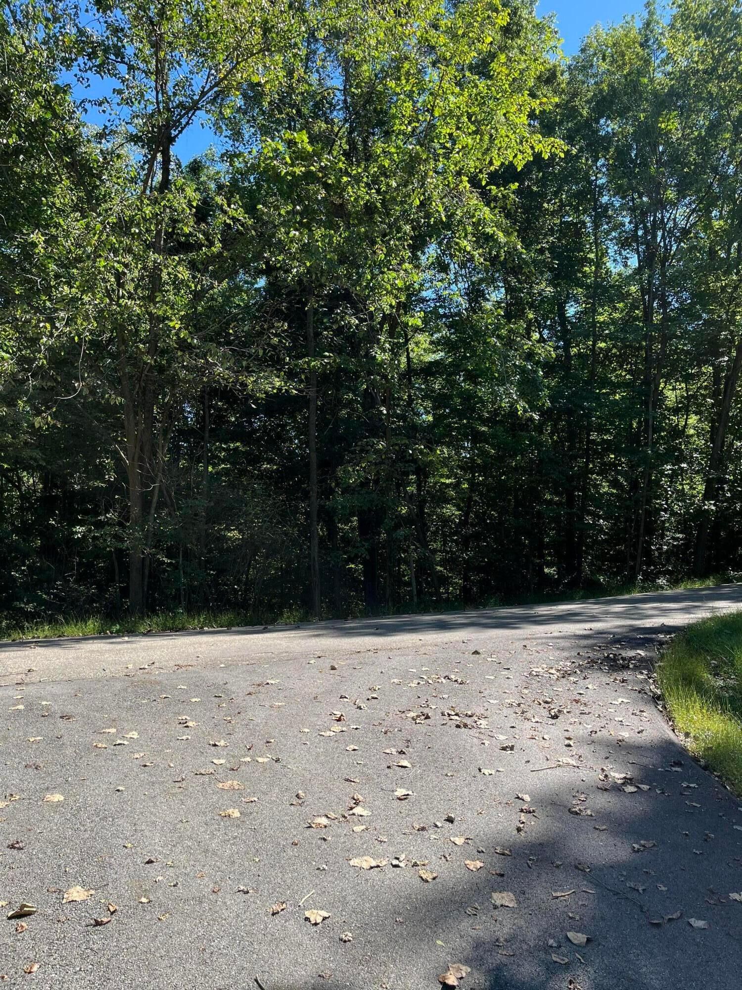 Property Photo: 0 Forest Lane OH 43830