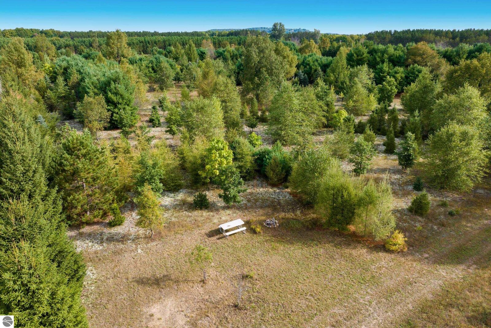 Property Photo: 00 Mallard MI 49683