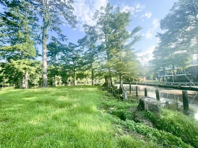 Property Photo:  20194 Lacox Lane  LA 70462 