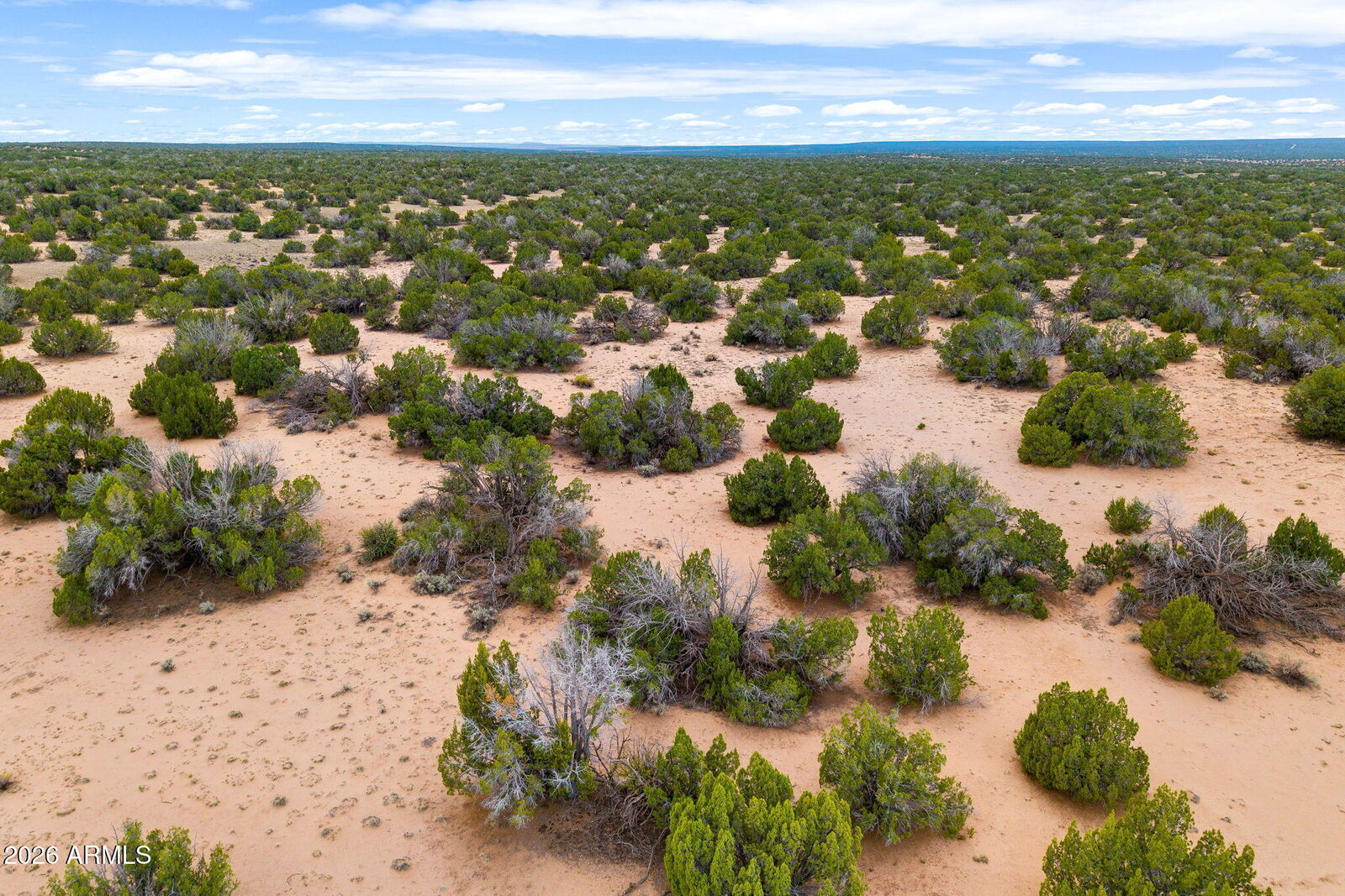 Property Photo:  Lot 3 Witch Well Ranches -- 3  AZ 85936 