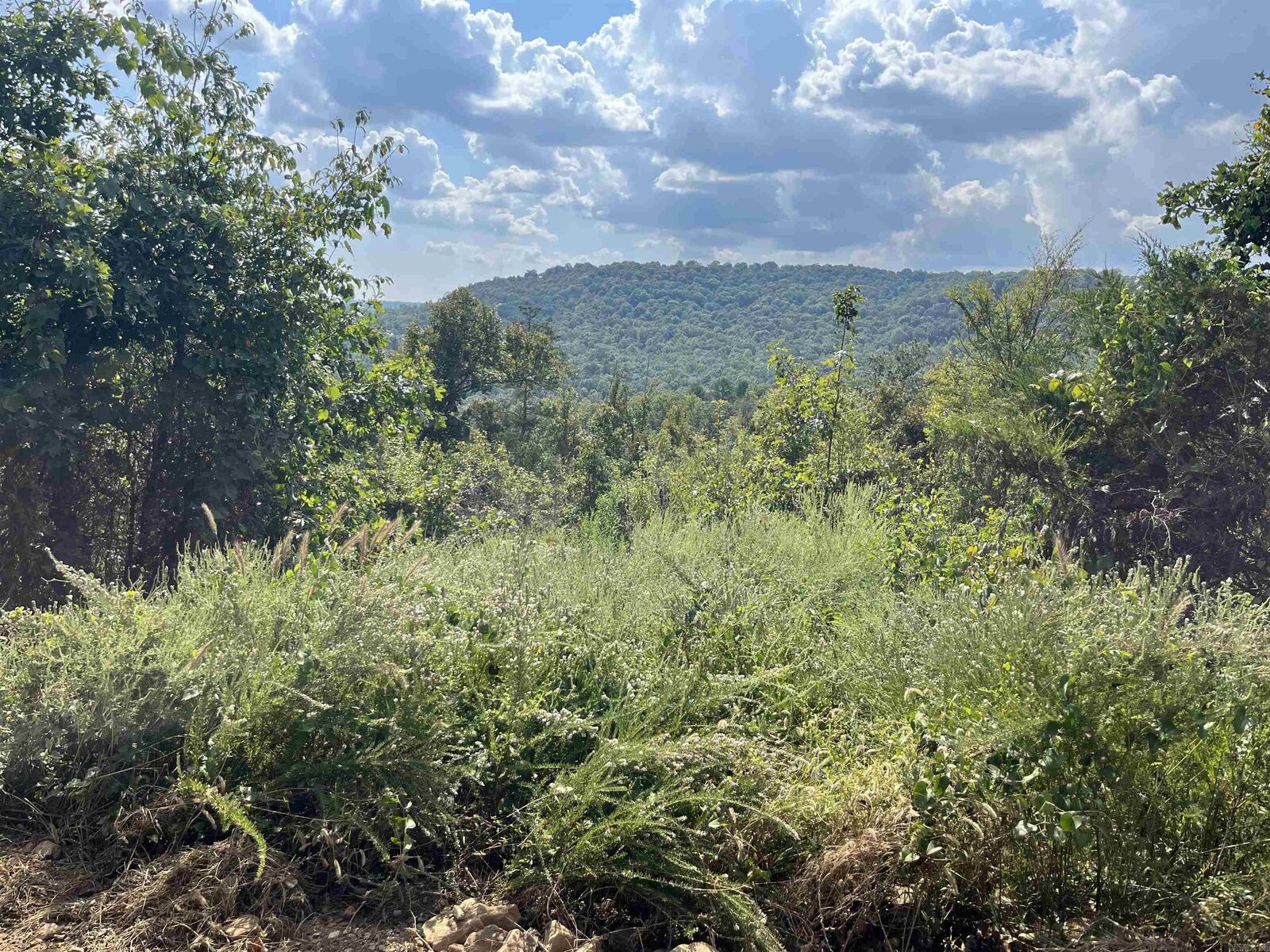 Property Photo:  2314 Little Red River  AR 72650 