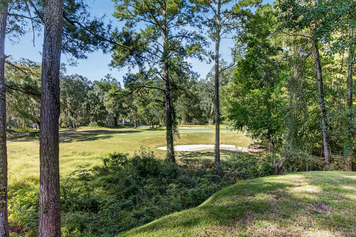 Property Photo: 207 Golfview Lane SC 29485
