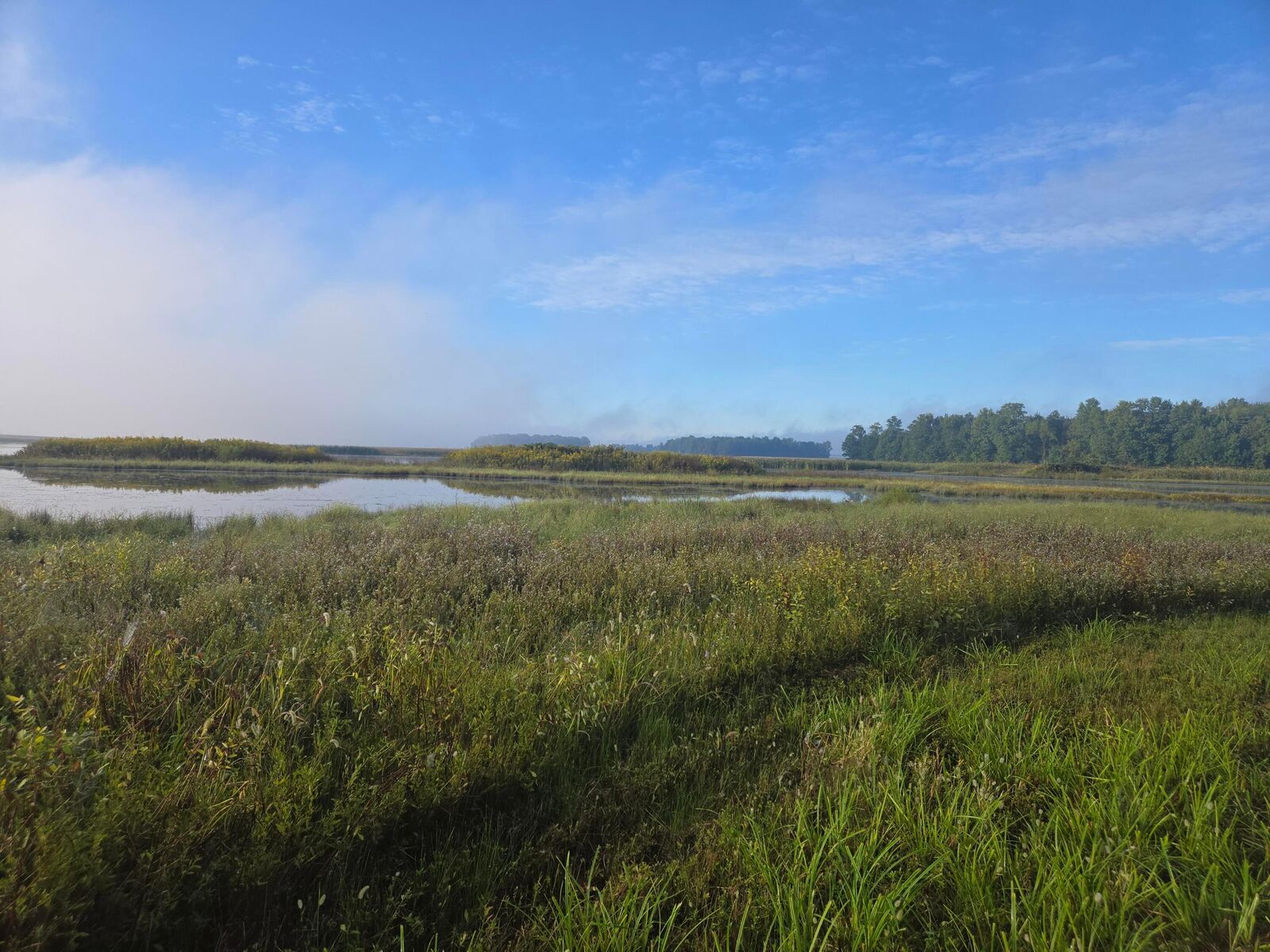 Property Photo:  0 Middleworth  OH 43340 