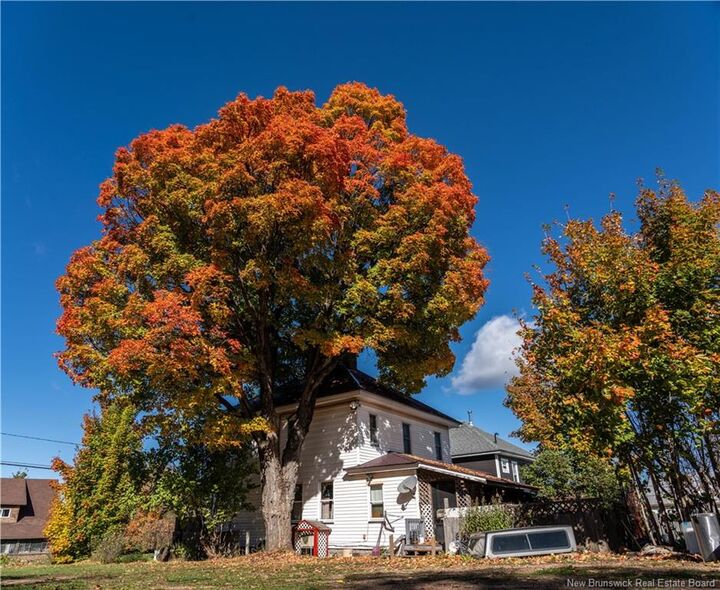 Property Photo:  187 Main Street  NB E4A 1X7 