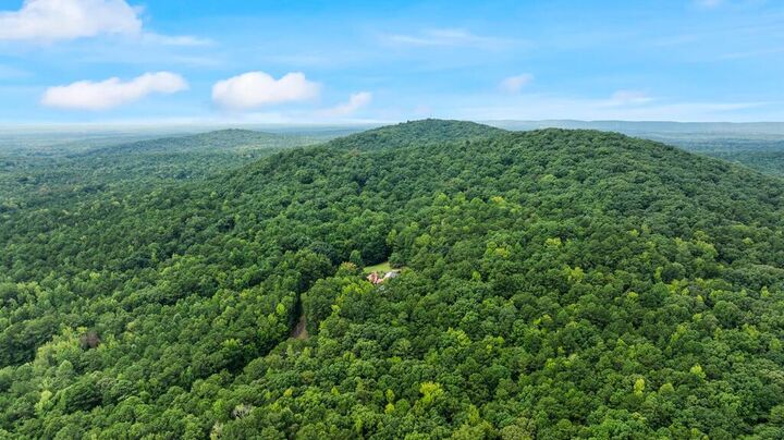 Property Photo:  0 Roger Copeland Road  GA 31811 