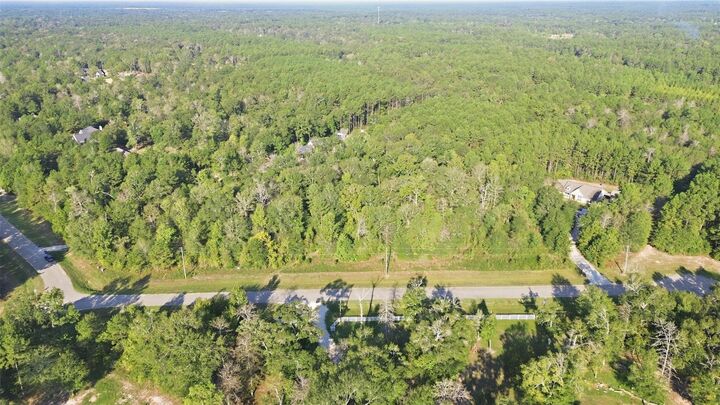 Property Photo: 21099 Angus Drive TX 77328