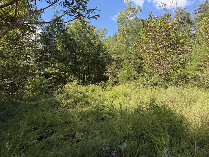 Property Photo: 0 E Taxiway Drive Lot 18 KY 42602