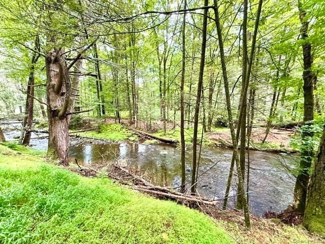 Property Photo:  Lot 9 Black Forest Road  NY 12737 