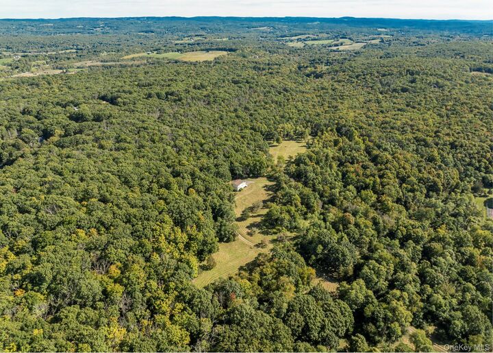 Property Photo:  544 Willow Brook Road  NY 12514 