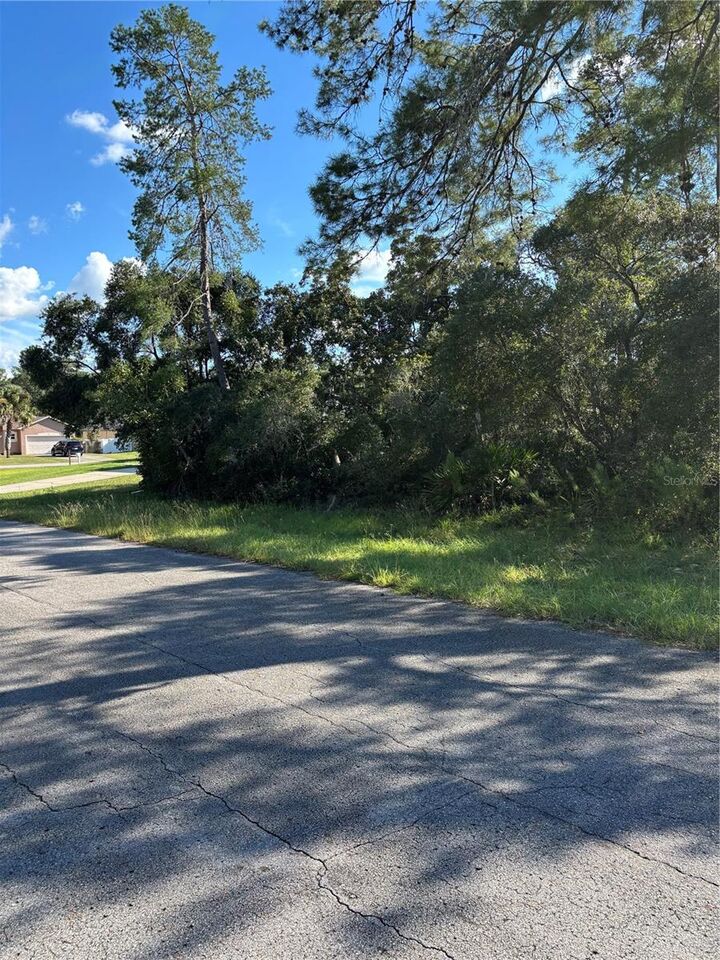 Property Photo:  0 SW 171st Street  FL 34473 