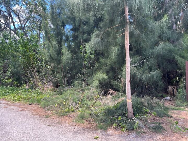 Property Photo:  Legion Drive  FL 34689 