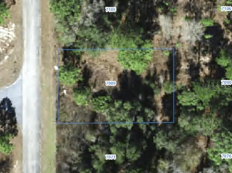 Property Photo: 7089 N Galt Point FL 34434