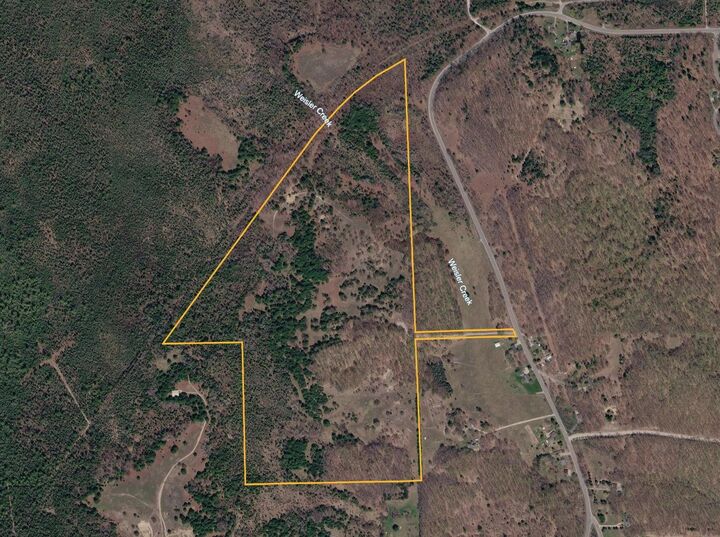 Property Photo: 00 S Weisler Road MI 49684
