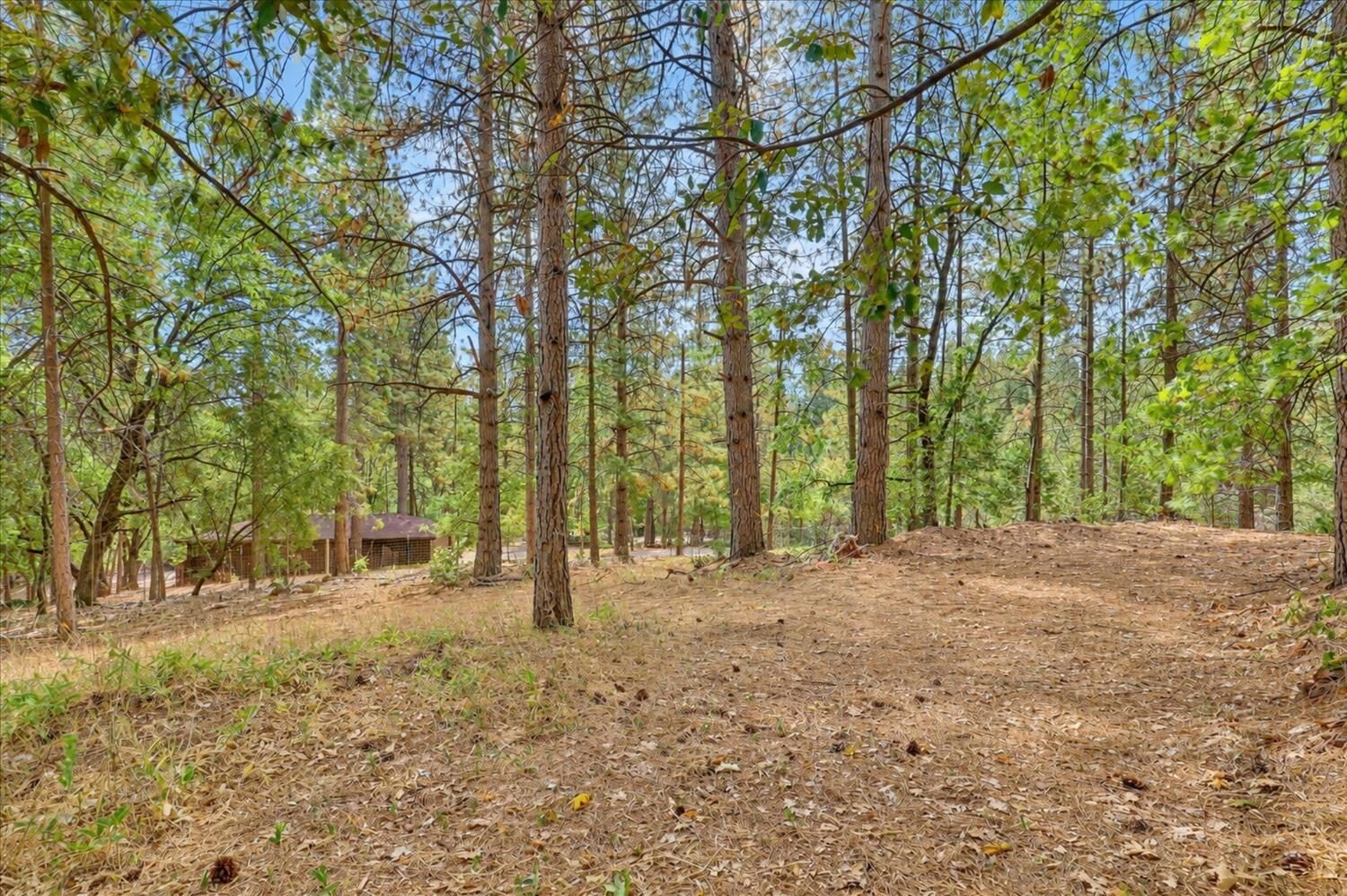 Property Photo:  15948 Brooks Road  CA 95945 