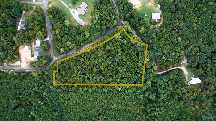 Property Photo:  4.18 Acres Paula Reed Road  AL 35956 