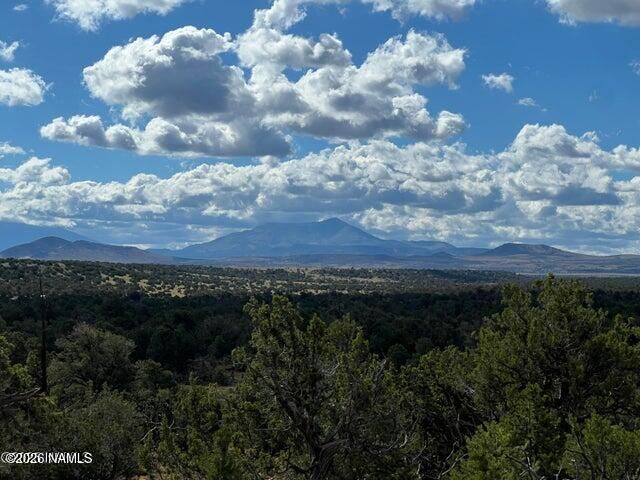 Property Photo:  1282 Watchtower, Lot B - 12 Ac  AZ 86046 