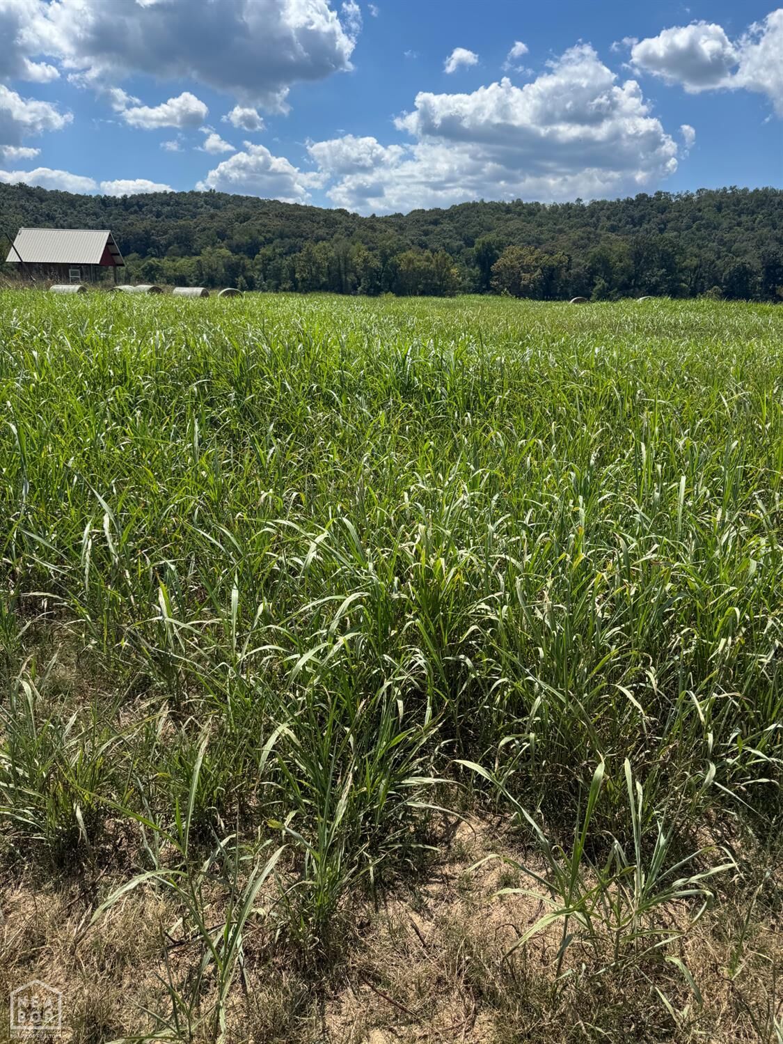 Property Photo:  43 White River Run  AR 72540 