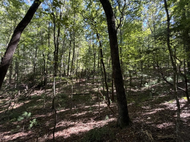 Property Photo:  305-433 Seneca Drive  GA 30540 