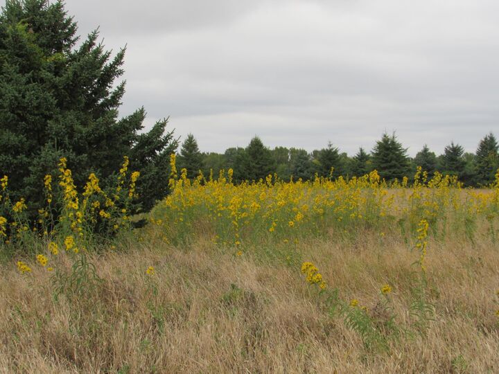 Property Photo: 40929 95th Street MN 56013