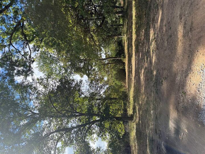 Property Photo: 0 Dennis Road KY 42276
