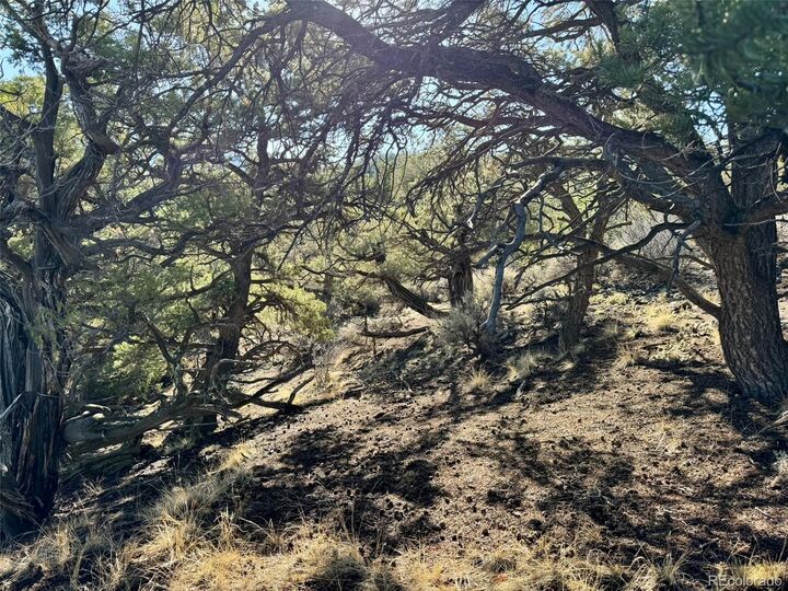 Property Photo:  Lot 2336 Sandoval Road  CO 81133 