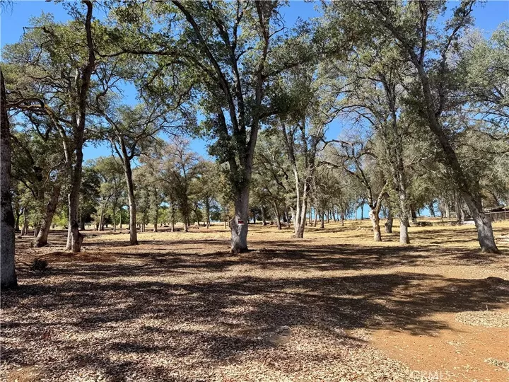 Property Photo: 2045 Eastlake Dr. CA 95451