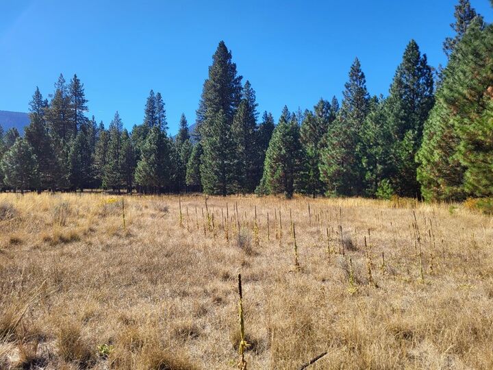 Property Photo:  Lot 20 N Old Stage Rd  CA 96094 