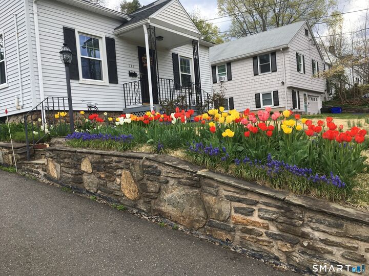 Property Photo:  141 Walden Street  CT 06107 