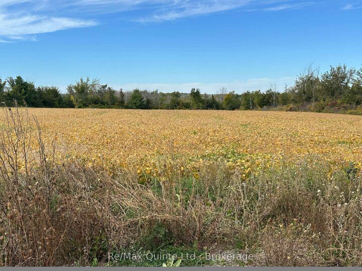 Property Photo:  1807 Marysville Road  ON K0K 2N0 
