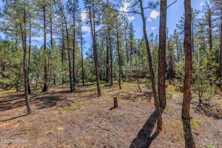 Property Photo: 2861 W Young AZ 85901