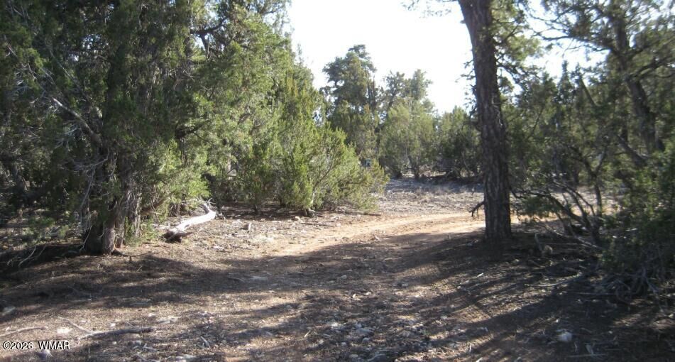 Property Photo: 3249 E Aspen Road AZ 85933