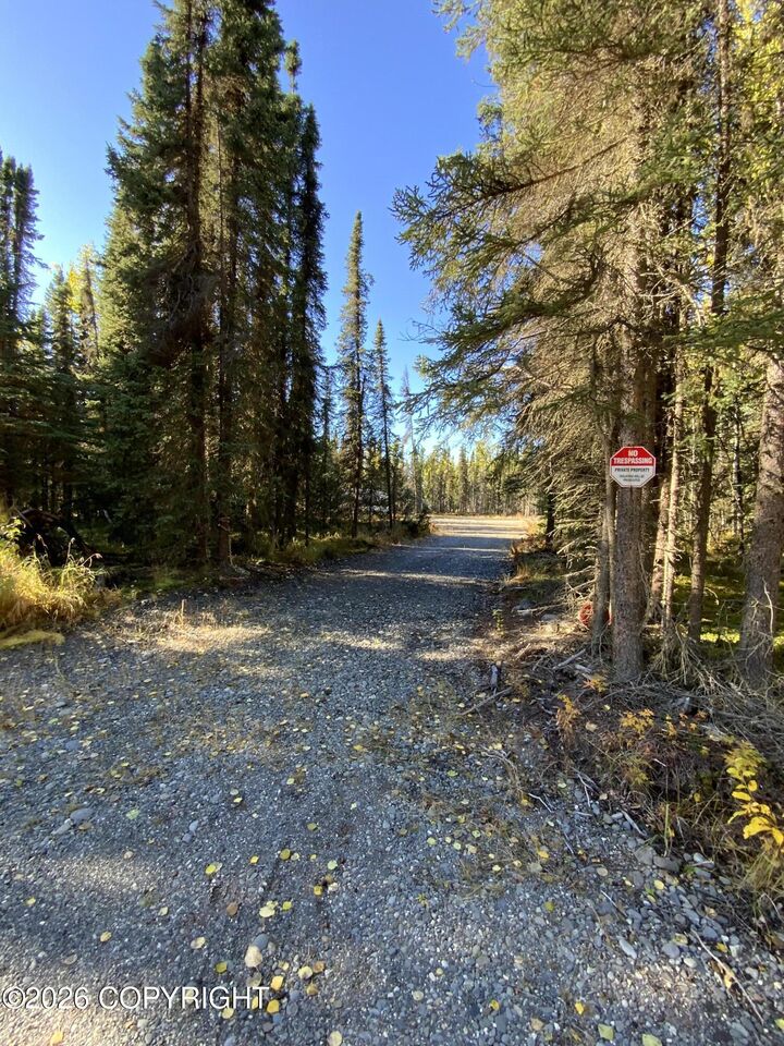 Property Photo:  36655 Lemadonja Court  AK 99672 