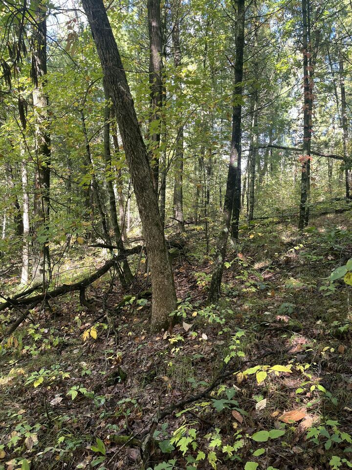 Property Photo:  Vl Sweeter Road  MI 49457 