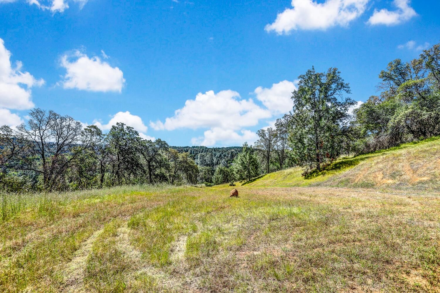 Property Photo: 29 Township Road CA 95918
