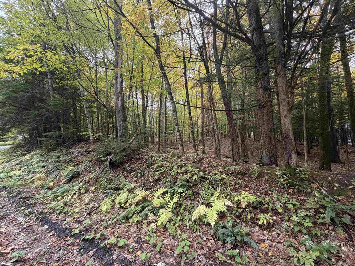 Property Photo:  0 Baker Turn  VT 05059 