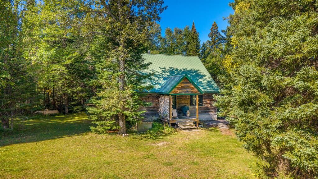 Property Photo: 39670 W Tahquamenon River Row MI 49748