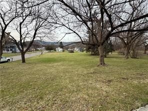 Property Photo: 00-3 Winfield Street NY 14830
