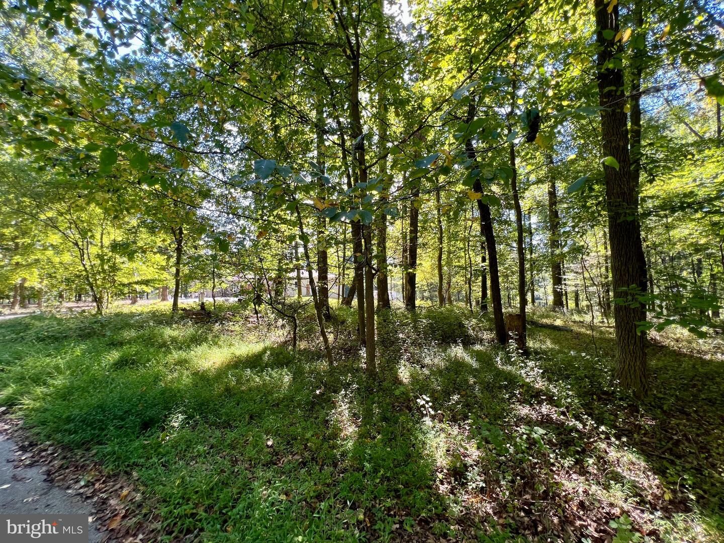 Property Photo:  5531 Weywood Drive  MD 21136 