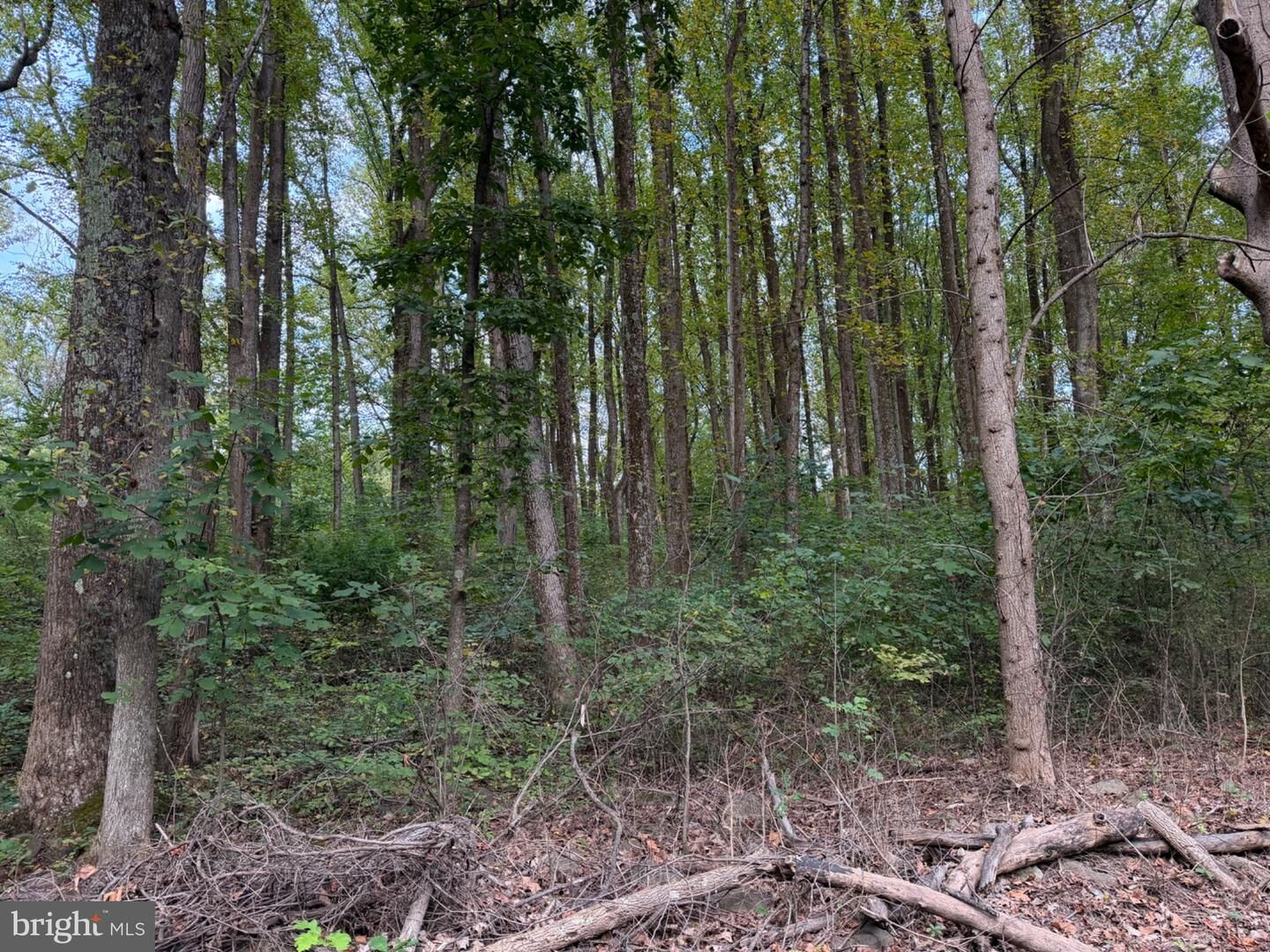 Property Photo:  Smith Run  VA 22610 