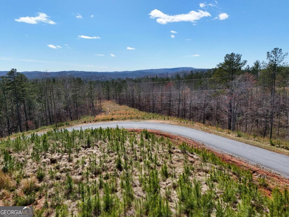 Property Photo:  155 Shallow Water Trail  GA 30175 