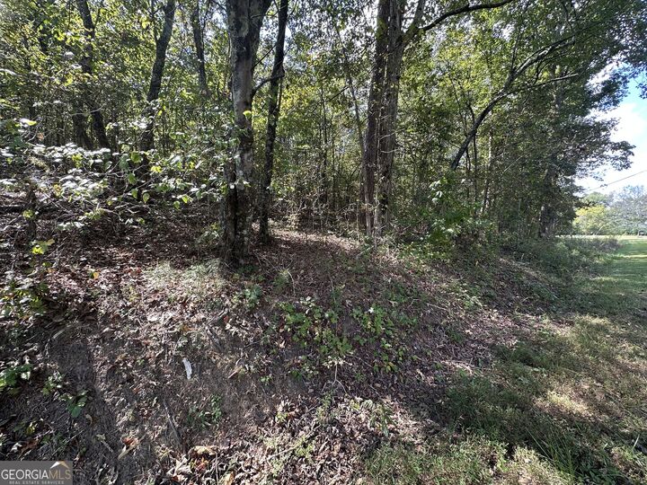 Property Photo: 0 Carver Mill Road GA 30175