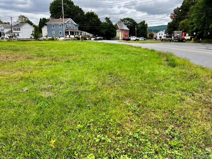 Property Photo:  4 Lumber Street  NY 12771 