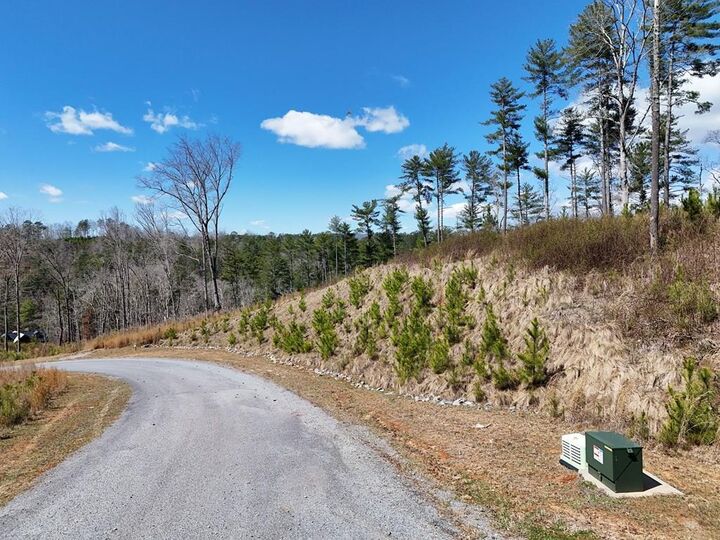 Property Photo:  Lot 253 High River Crossing  GA 30540 
