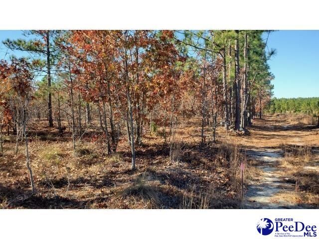 Property Photo:  Tbd Ousleydale Road  SC 29550 