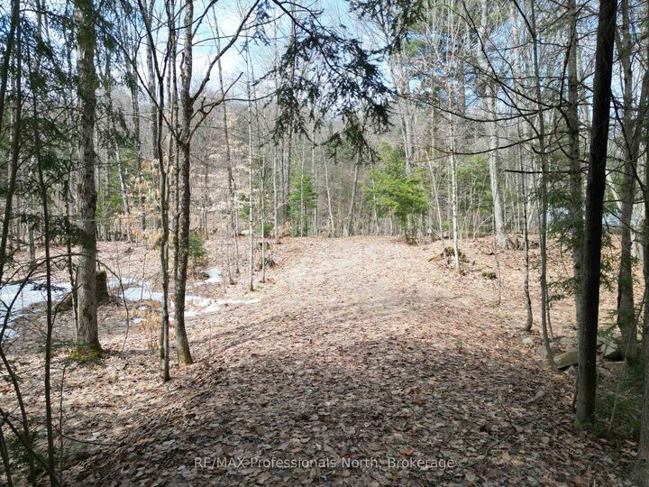 Property Photo:  1231 Big Hawk Lake Road  ON K0M 1J2 