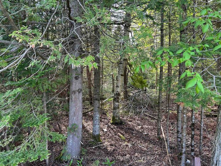 Property Photo:  810 4th Line  ON K0L 3E0 