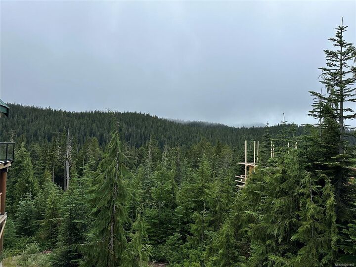 Property Photo:  625 Arrowsmith Ridge  BC V9J 1L0 