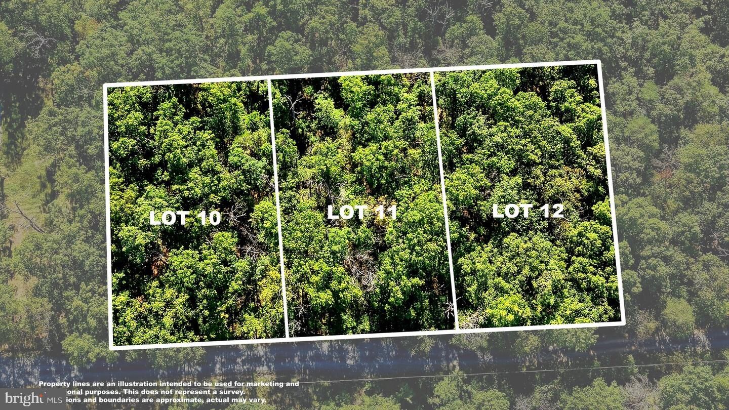 Property Photo: Lots 10,11 & 12 Glen Ridge Road VA 22602